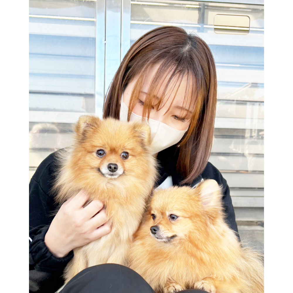 生徒が撮影したモデル犬写真①